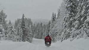 lappstockholm whinther driving 2014 007
